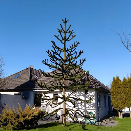 Apartament Steuerbord Büsumer Deichhausen